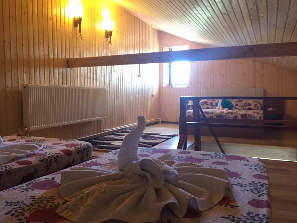 Pensiunea Roka 란카 객실 사진
